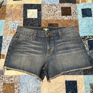 Gianni Bini Jean Shorts